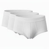 Organic Linen Brief: 3-Pack